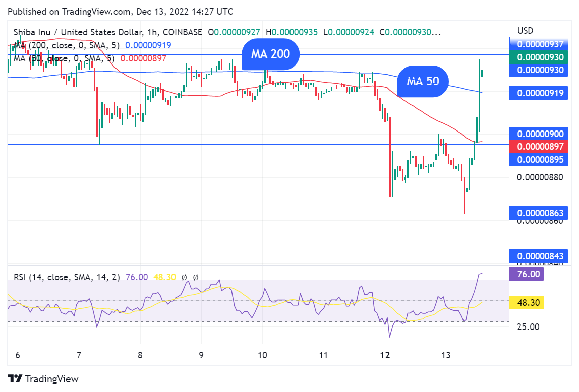 shib candle chart